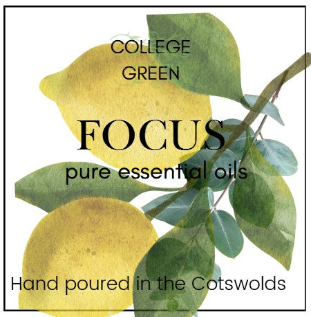 Essential oil candles and reed diffusers for studying